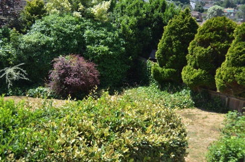 DS2_1939.JPG