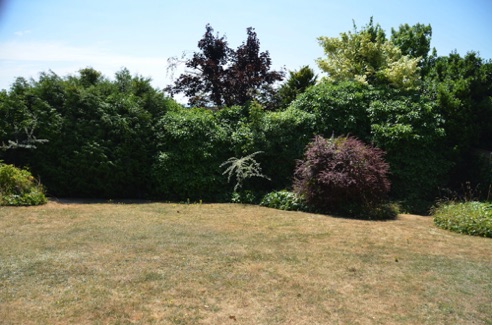 DS2_1951.JPG